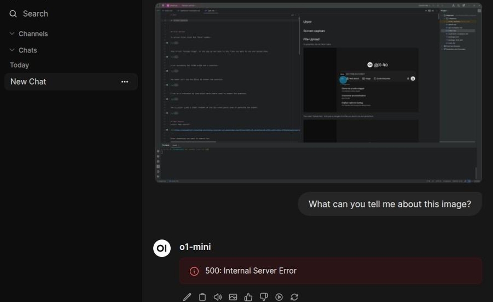 Vision Model Error